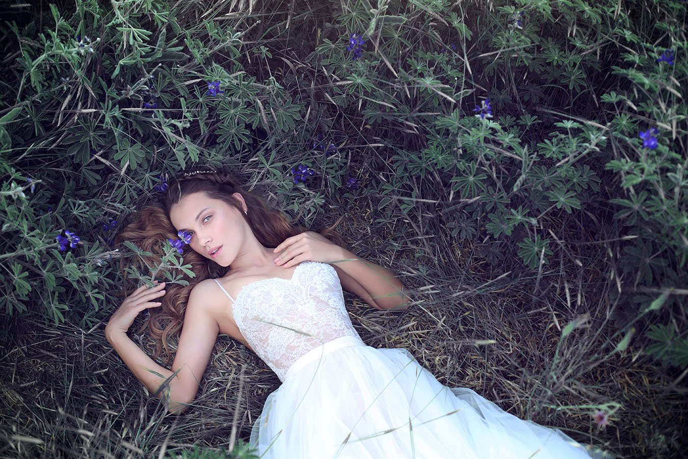 קולקציית יער אביטל ספורטה