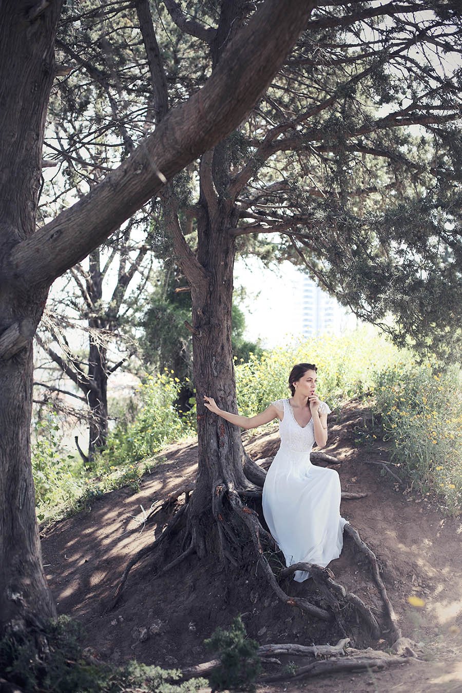 קולקציית יער אביטל ספורטה